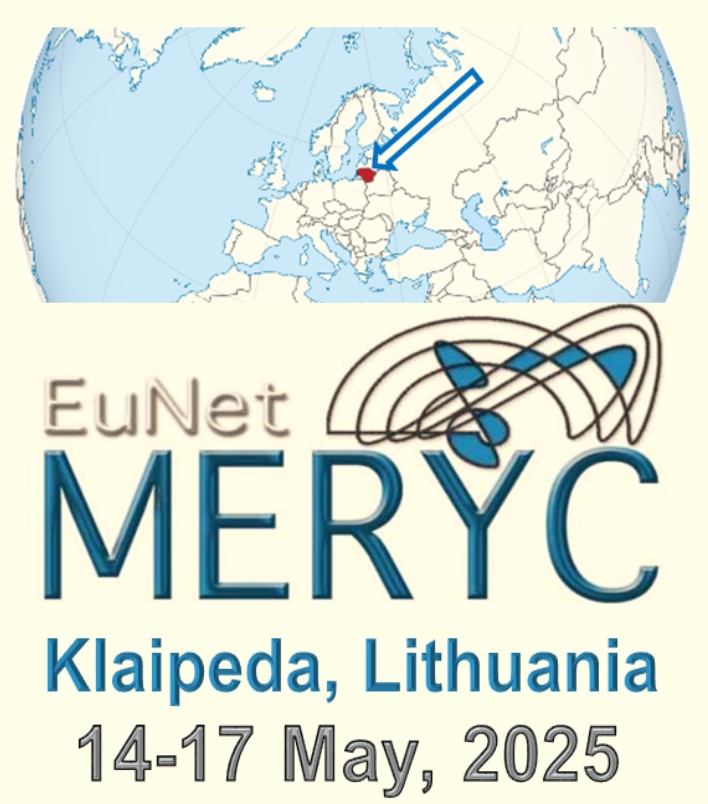 Logo-Meryc-Yellow 2024-5